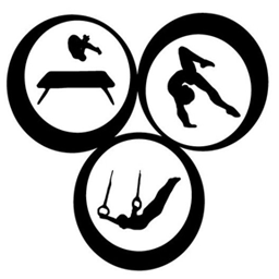 Essendon Keilor Gymnastics Academy